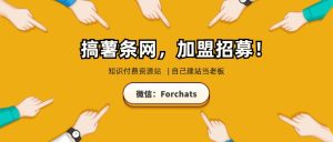 知识付费资源网站加盟，自己当老板，每月躺赚入5000+（优惠中，名额有限）-搞薯条网