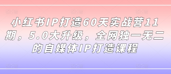小红书IP打造60天实战营11期，5.0大升级，全网独一无二的自媒体IP打造课程-搞薯条网