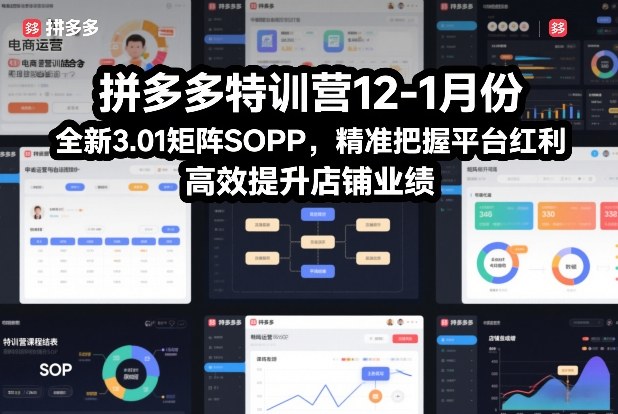 拼多多特训营12-1月份，全新3.01矩阵Sop，精准把握平台红利，高效提升店铺业绩-搞薯条网