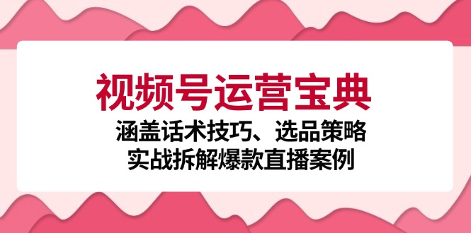 视频号运营宝典：涵盖话术技巧、选品策略、实战拆解爆款直播案例-搞薯条网