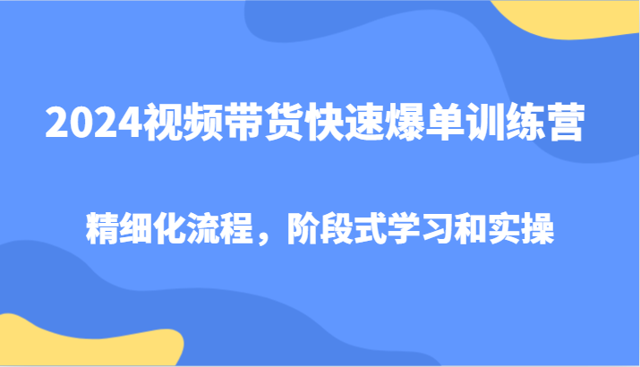 2024视频带货快速爆单训练营，精细化流程，阶段式学习和实操-搞薯条网