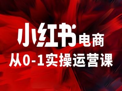 小红书电商从0-1实操运营课，让你从小白到精英-搞薯条网