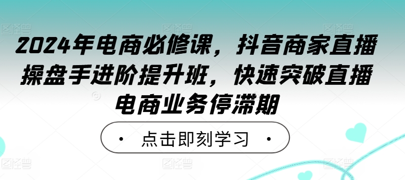 2024年电商必修课，抖音商家直播操盘手进阶提升班，快速突破直播电商业务停滞期-搞薯条网