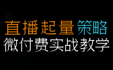 半野老师·直播带货起量与微付费必学课视频号(更新2026)-搞薯条网