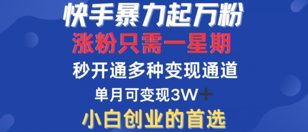 快手暴力起万粉，涨粉只需一星期，多种变现模式，直接秒开万合，单月变现过W【揭秘】-搞薯条网