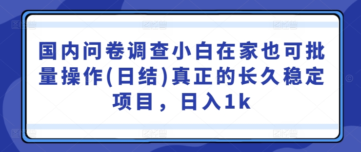 国内问卷调查小白在家也可批量操作(日结)真正的长久稳定项目，日入1k【揭秘】-搞薯条网