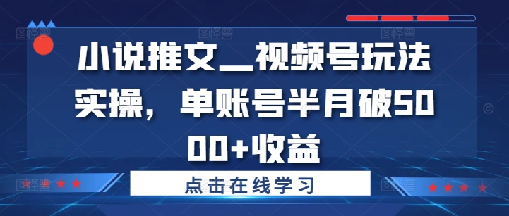 小说推文—视频号玩法实操，单账号半月破5000+收益-搞薯条网