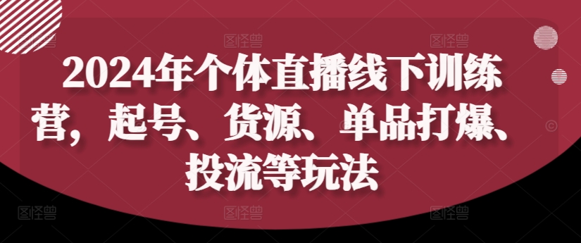 2024年个体直播训练营，起号、货源、单品打爆、投流等玩法-搞薯条网