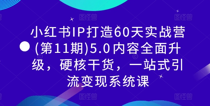 小红书IP打造60天实战营(第11期)5.0​内容全面升级，硬核干货，一站式引流变现系统课-搞薯条网