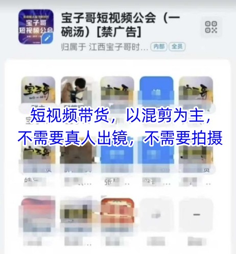 宝子哥头部团队短视频带货，以混剪为主，不需要真人出镜，不需要拍摄【更新26年1月】-搞薯条网