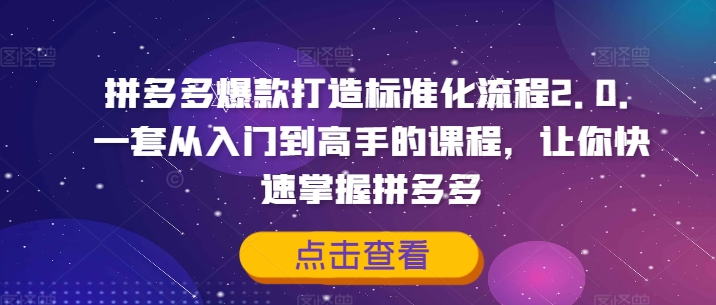 拼多多爆款打造标准化流程2.0，一套从入门到高手的课程，让你快速掌握拼多多-搞薯条网