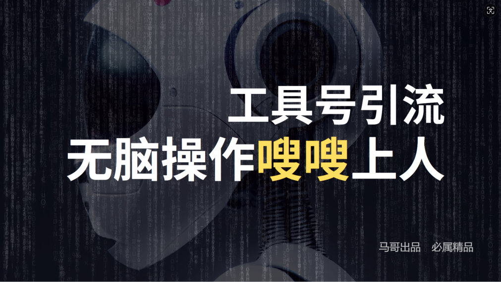 24年抖音最新工具号日引流300+创业粉，日入5000+-搞薯条网