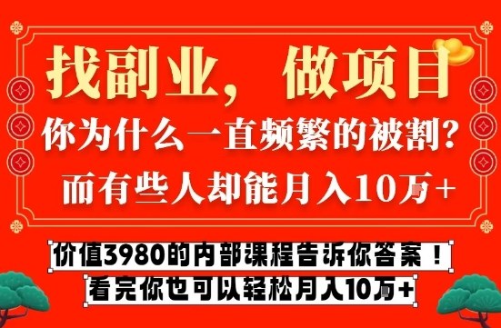 价值3980的网创内部课程，告诉你互联网创业月入10个W的秘密【揭秘】-搞薯条网