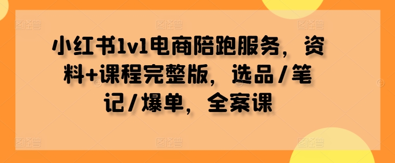 小红书1v1电商陪跑服务，资料+课程完整版，选品/笔记/爆单，全案课-搞薯条网