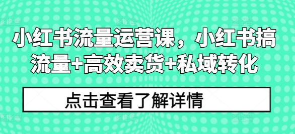 小红书流量运营课，小红书搞流量+高效卖货+私域转化-搞薯条网