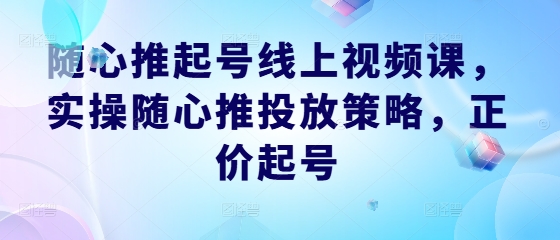 随心推起号线上视频课，实操随心推投放策略，正价起号-搞薯条网
