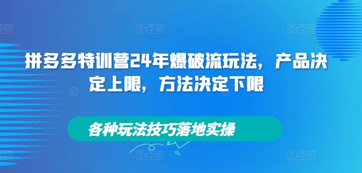 拼多多特训营24年爆破流玩法，产品决定上限，方法决定下限，各种玩法技巧落地实操-搞薯条网