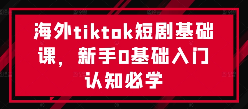 海外tiktok短剧基础课，新手0基础入门认知必学-搞薯条网