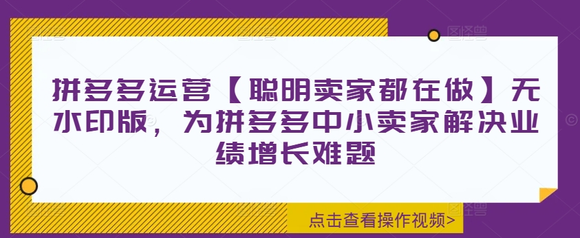 拼多多运营【聪明卖家都在做】无水印版，为拼多多中小卖家解决业绩增长难题-搞薯条网