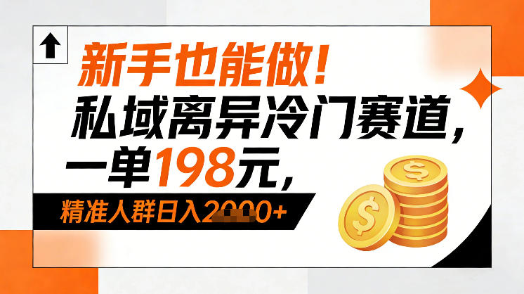 新手也能做！私域离异冷门赛道，一单198，精准人群日入1k+-搞薯条网