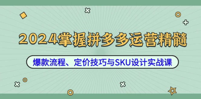 2024掌握拼多多运营精髓：爆款流程、定价技巧与SKU设计实战课-搞薯条网