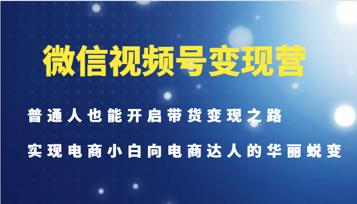 微信视频号变现营-普通人也能开启带货变现之路，实现电商小白向电商达人的华丽蜕变-搞薯条网