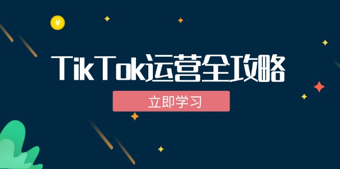 TikTok实战运营全攻略：从下载软件到变现，抖音海外版实操教程-搞薯条网